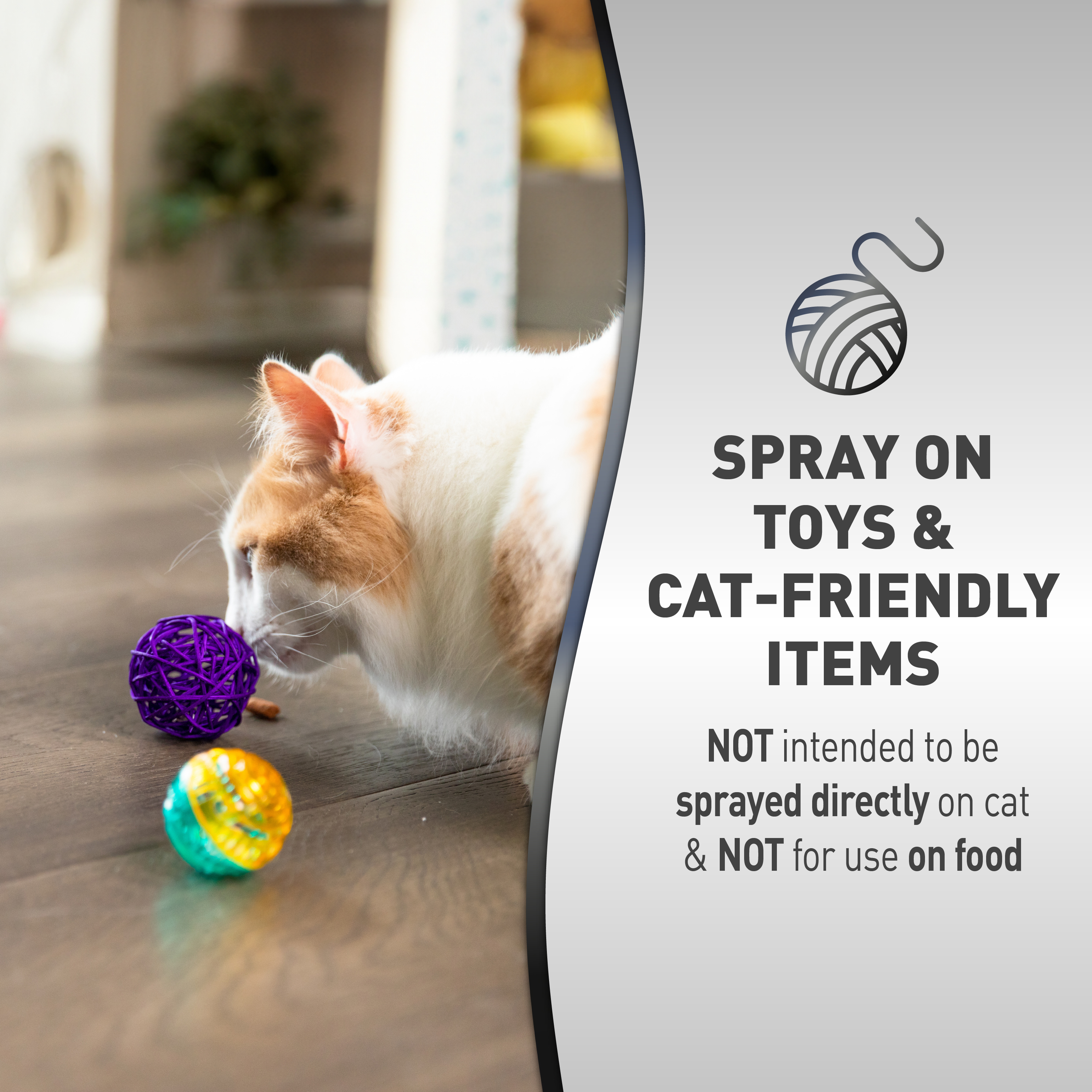 Advanced cat hot sale toys
